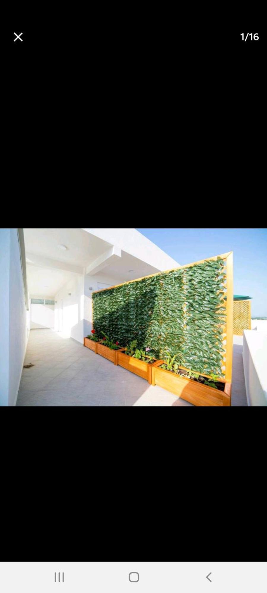 Home Rex Ulcinj Extérieur photo